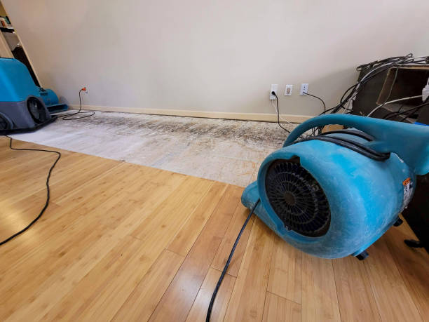 Professional Structural Drying technician working in Clinton, WI